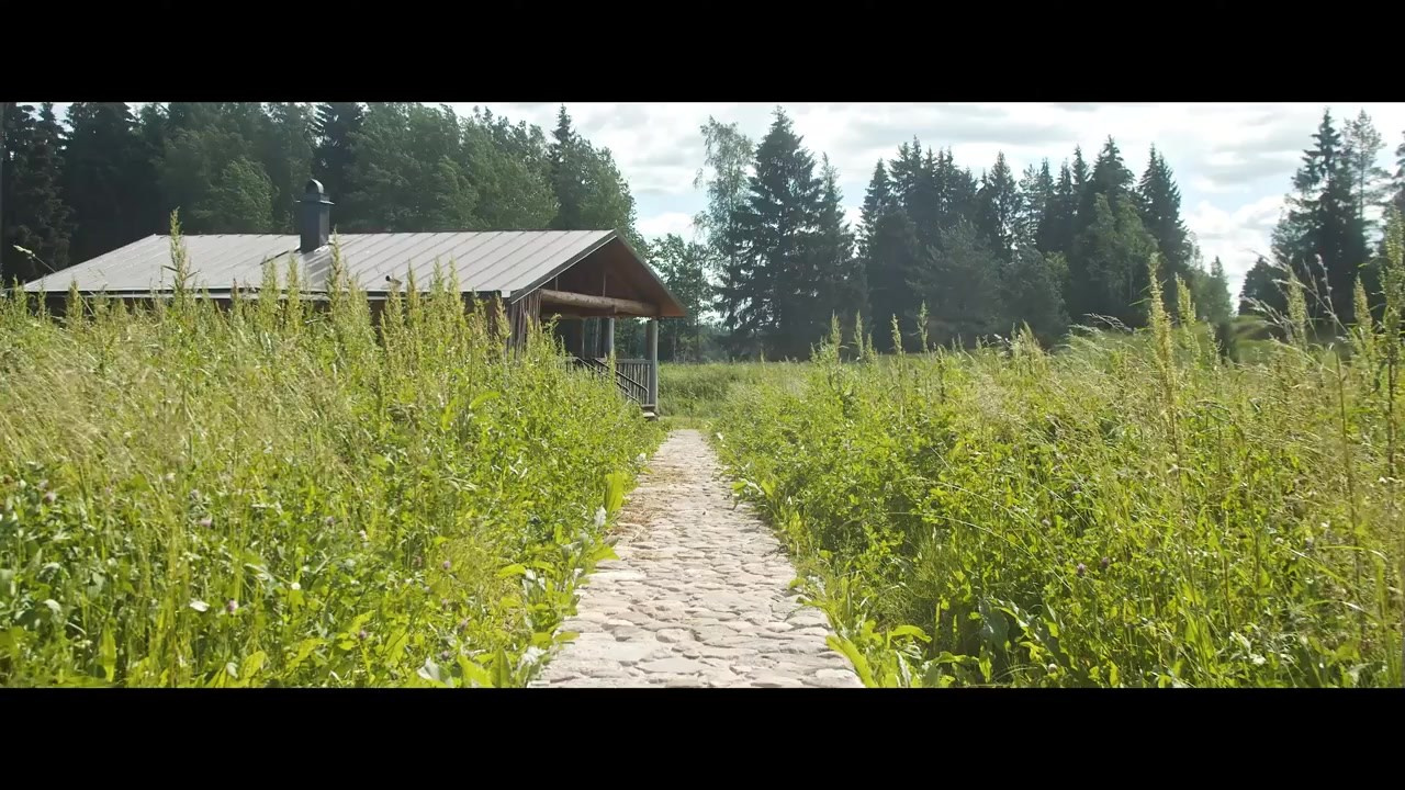 Имиджевый ролик для экологически чистого производства сельхоз продукции «Родные ладони». Качественный продакшн для вашего бизнеса — фотосъемка, видеосъемка, создание контента