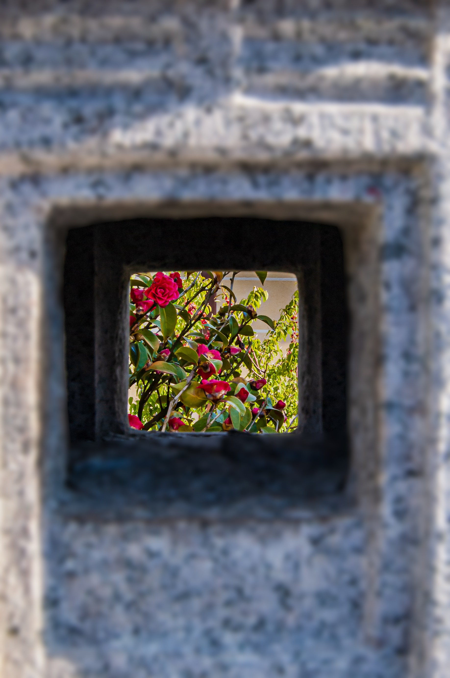 Фотосессия эстетики Японского сада в Краснодаре. Портретный фотограф в Краснодаре Слава Никитин