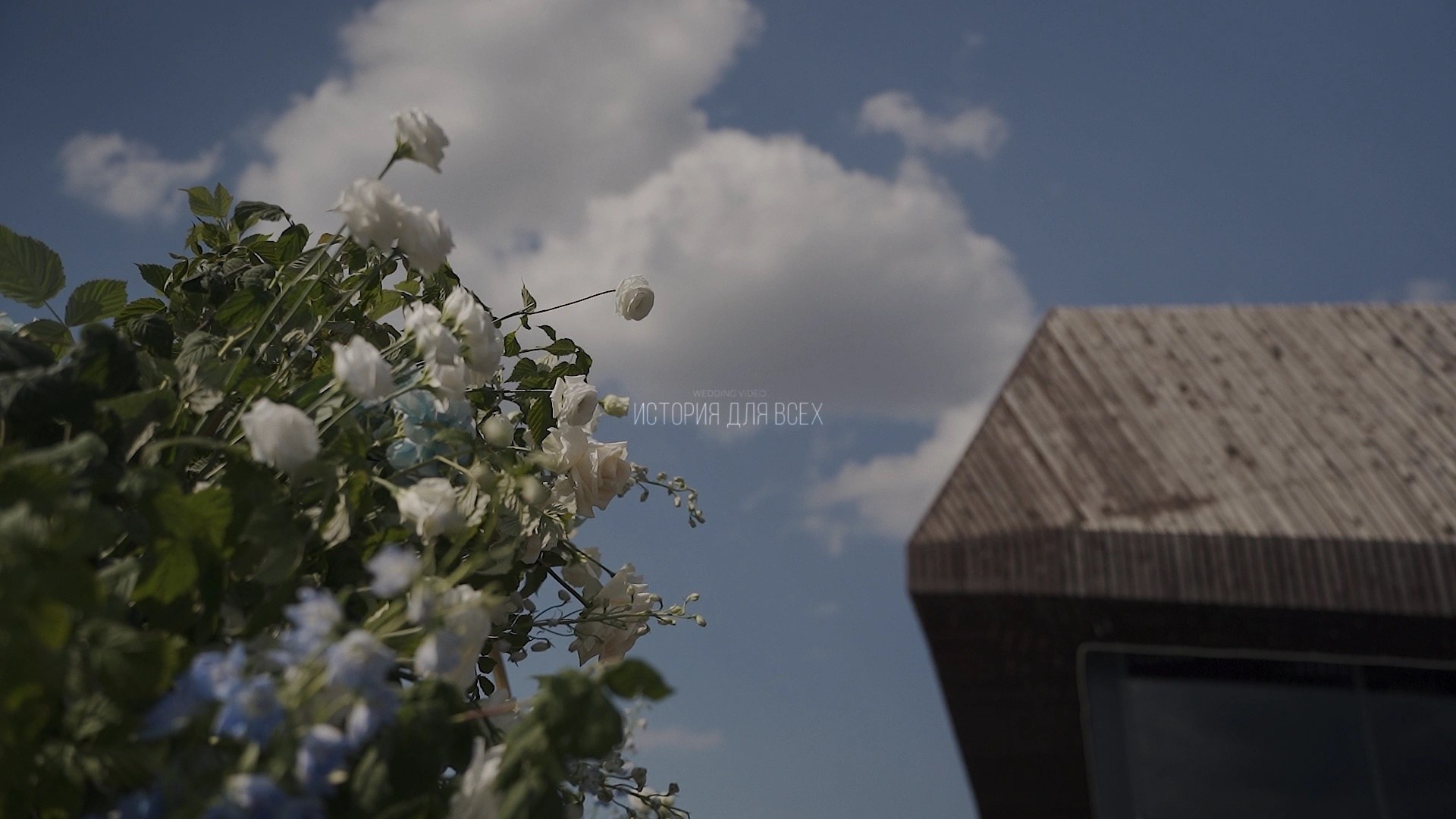 Портфолио. Видеограф | Санкт-Петербург