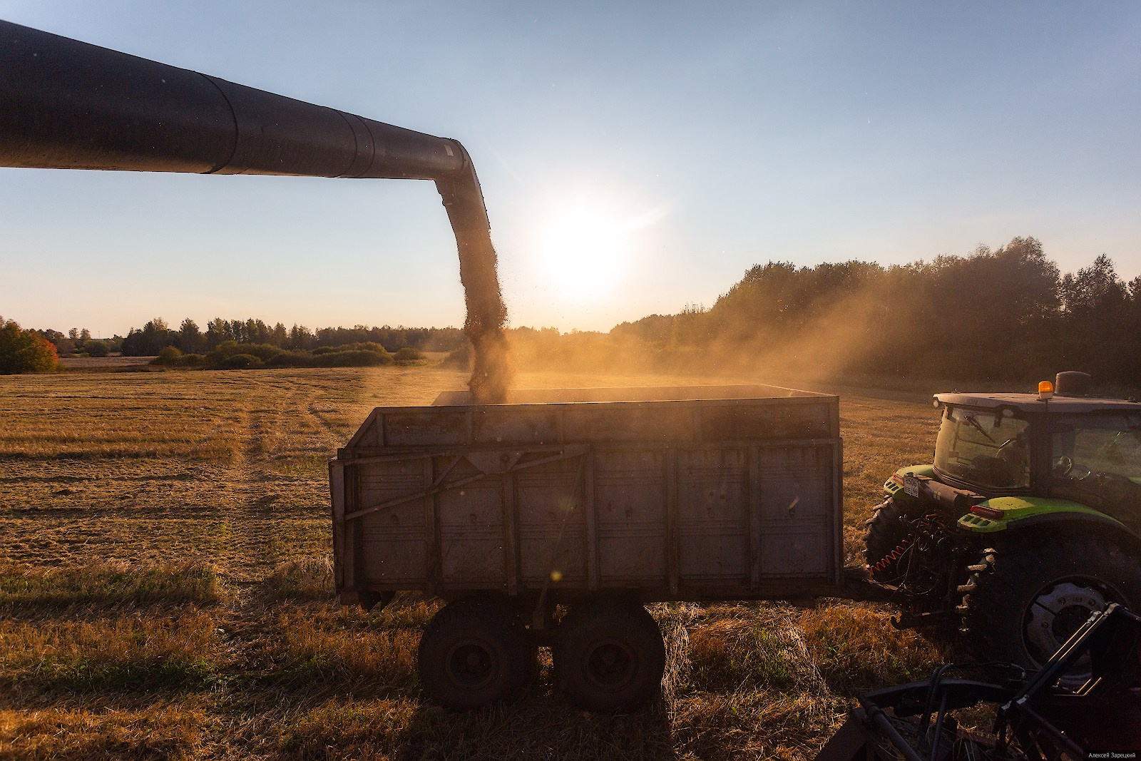 Фотограф Алексей Зарецкий