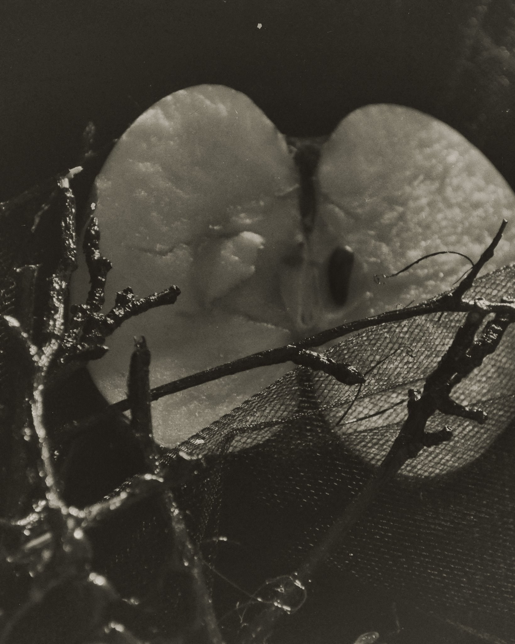 Robert Matheson. Yulia Yurchevskaya | Art Director & Visual Visionary