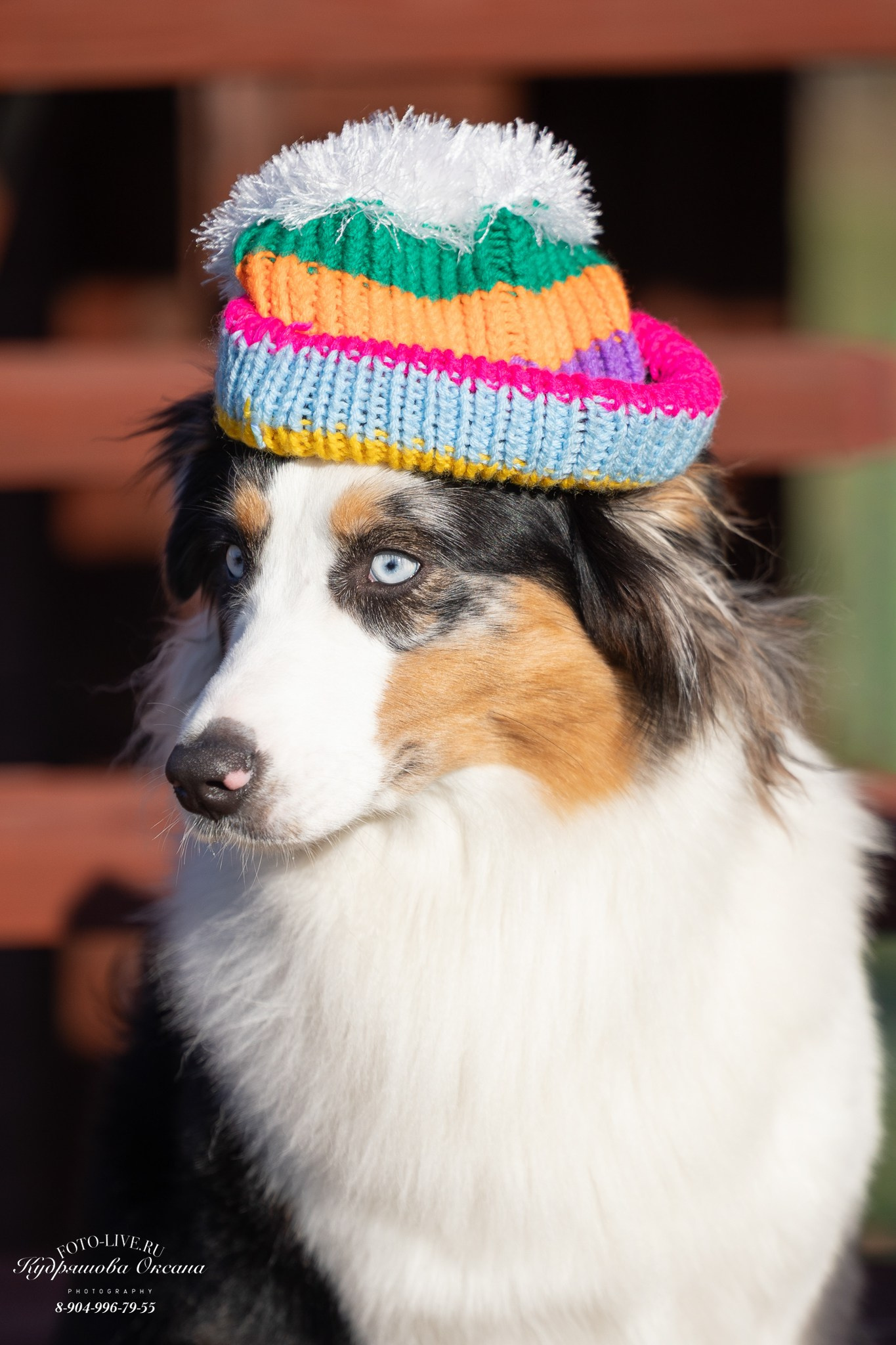 Настя и лилит!. Фотограф 📸 анималист, предметный, репортажный