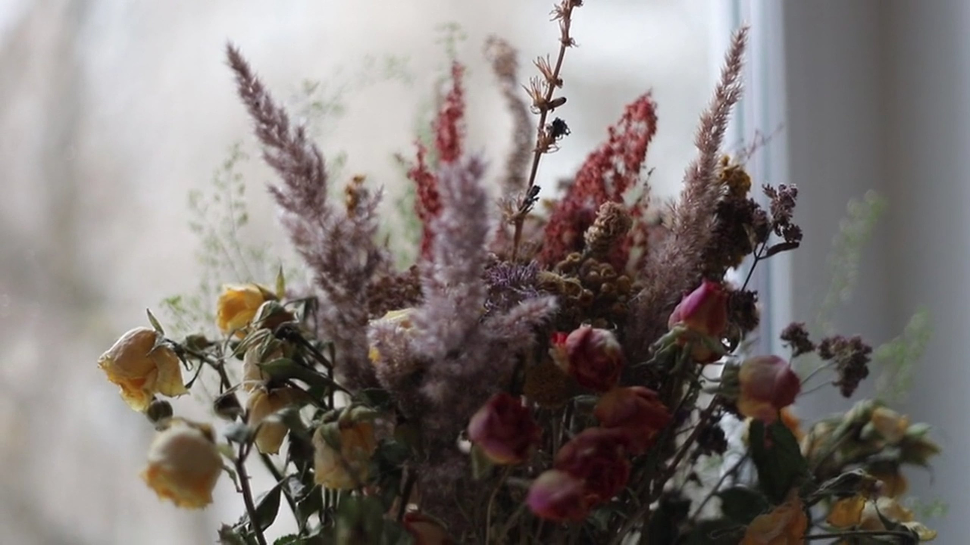 Услуги. Семейный видеограф в Москве Юлия Матвейчик