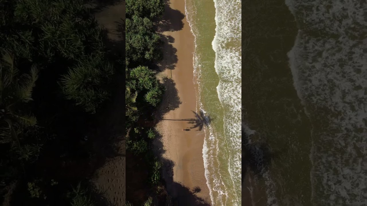 Пляжи Шри-ланки для фотосессий