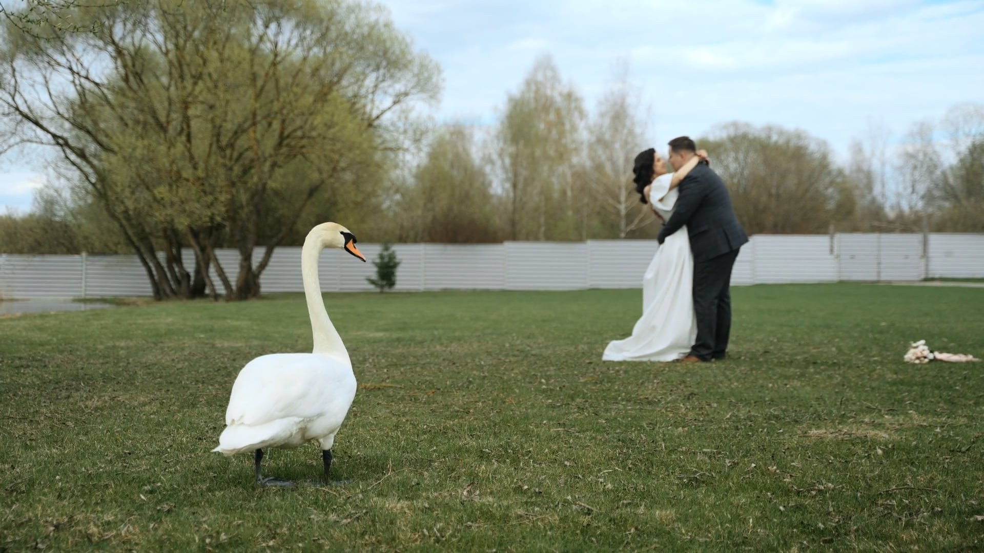 История Дарьи и Максима. Свадебный Фотограф Минск || Фото и Видеосъёмка Минск || Другие города