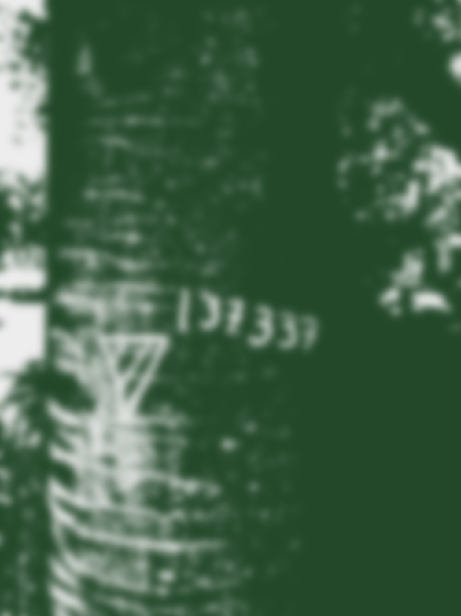 Мила Нишатова