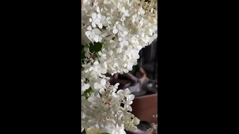 Фотограф и режиссер Московко Екатерина