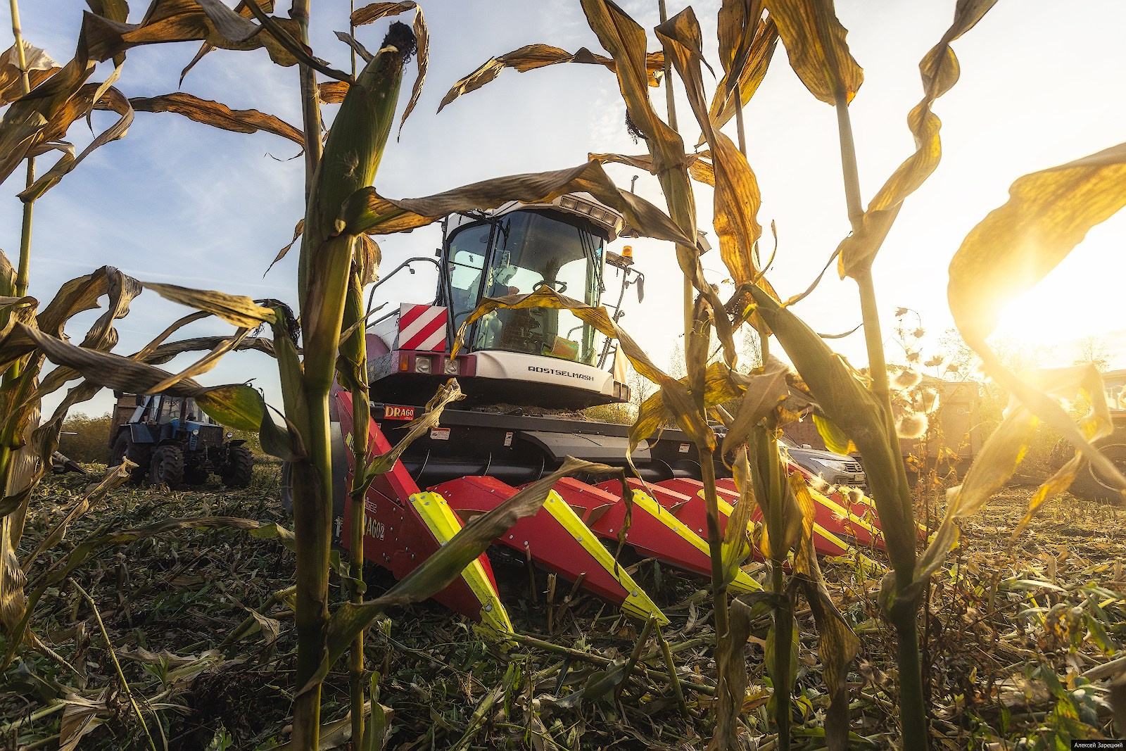 Фотограф Алексей Зарецкий