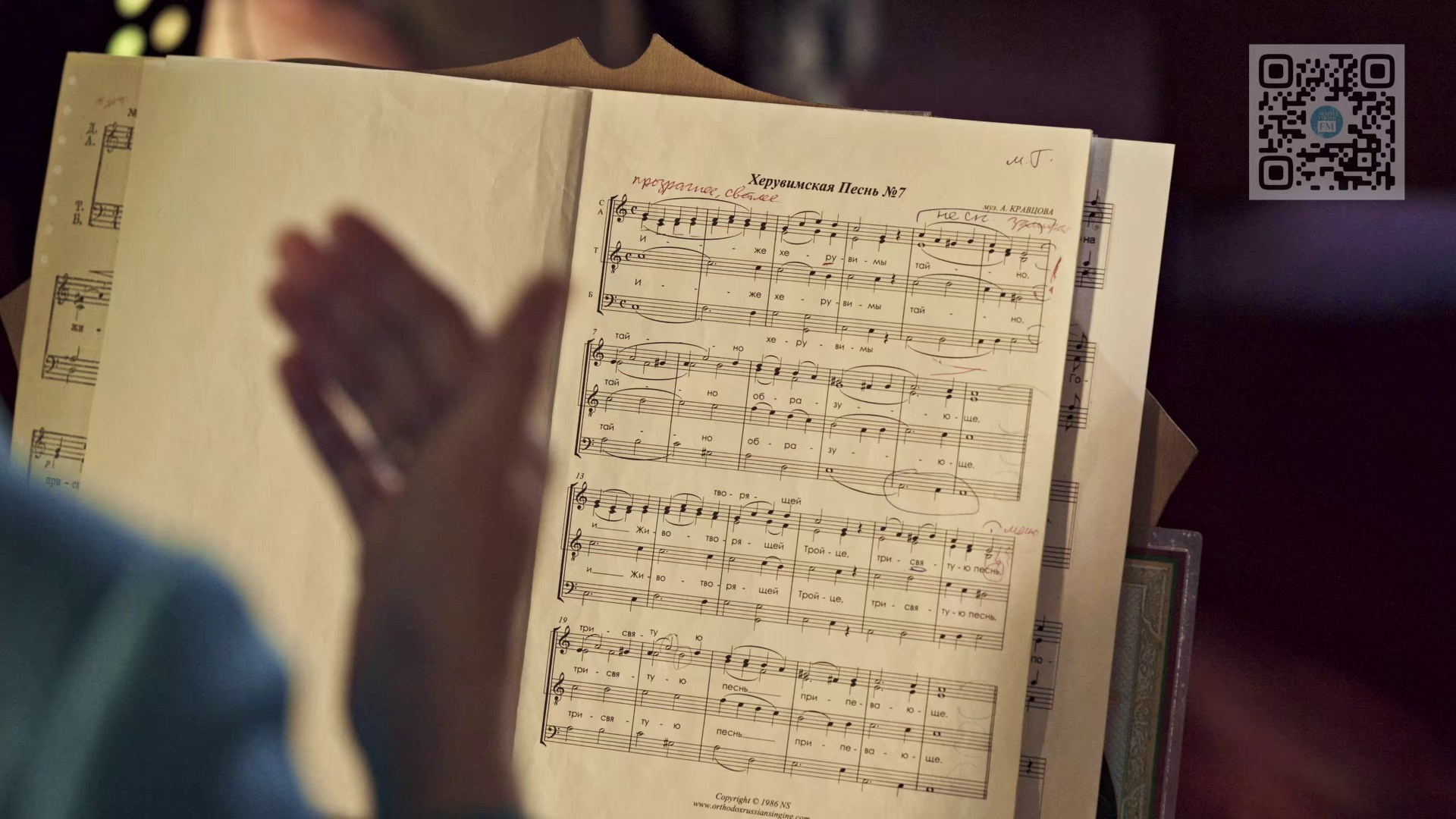 Видеосъёмка. Фотограф Анатолий Гущин