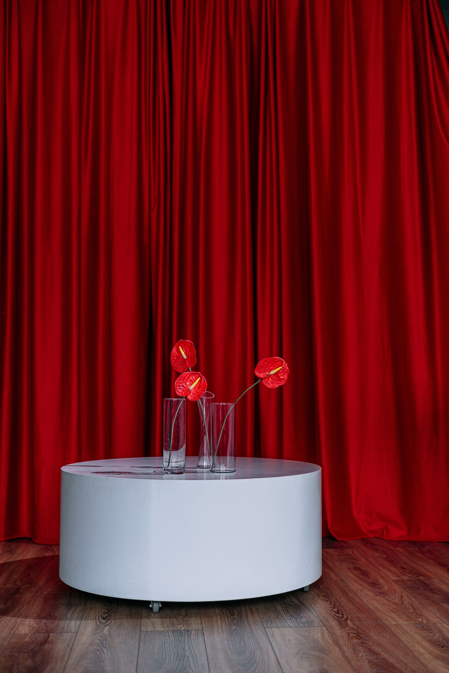 Фотостудии в Орле весна — лето 2026. Свадебный и портретный фотограф в Орле и Москве Диана Ларичева