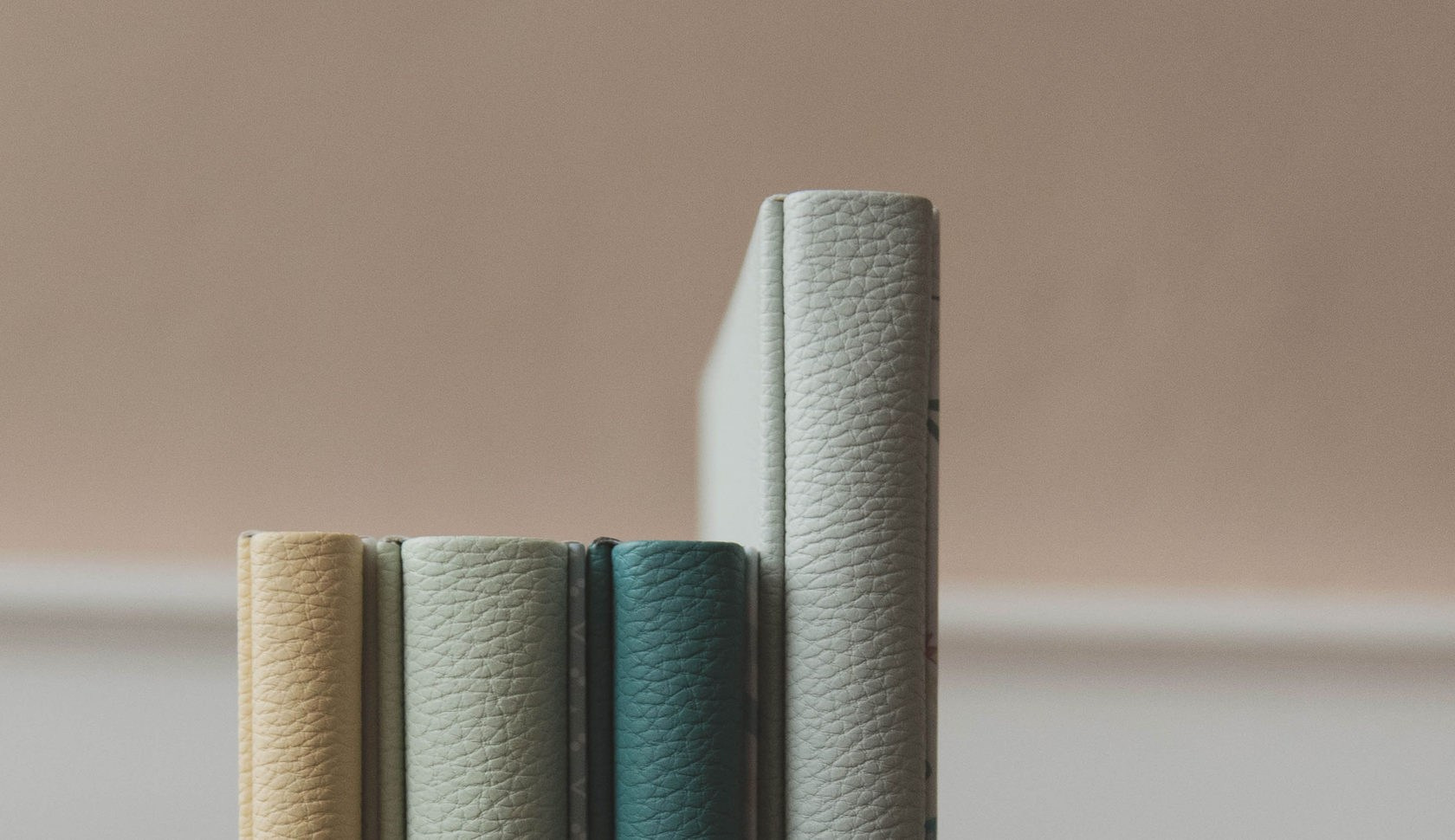 Коллекция «Optima». Семейный и детский фотограф в г. Ногинске Ангелина Хасанова