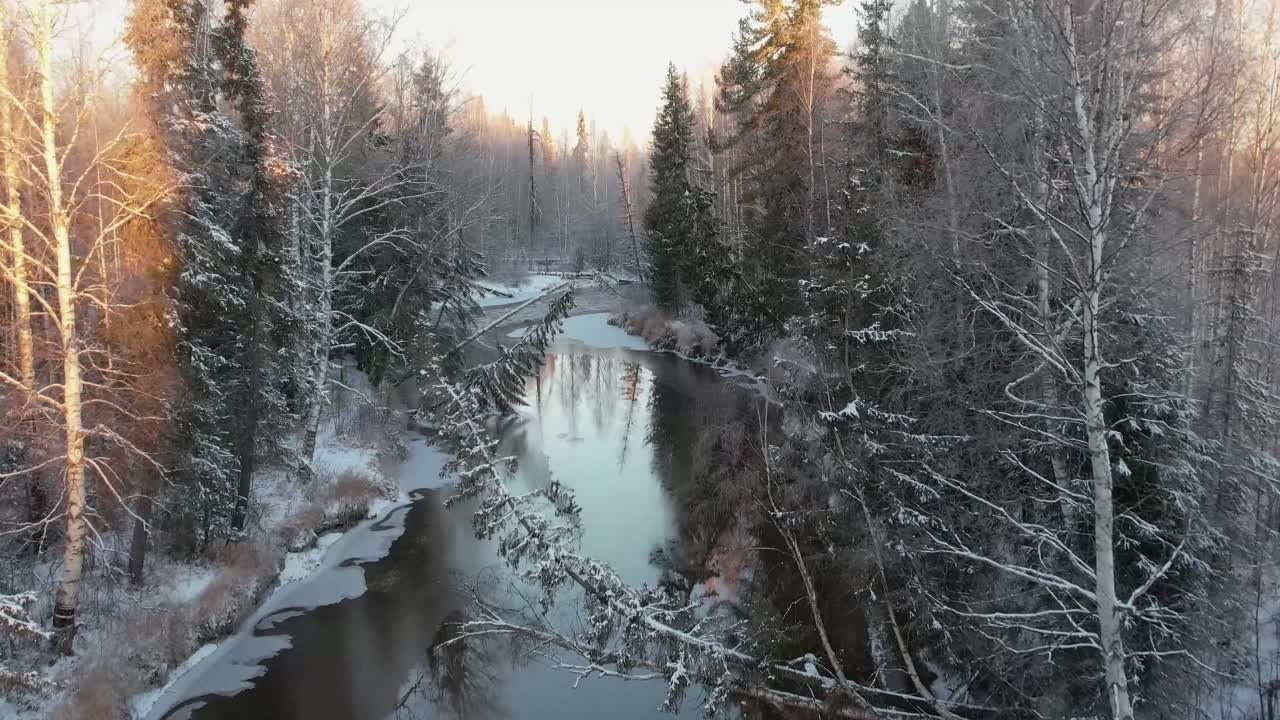 Видео. Фотограф Татьяна Борисова