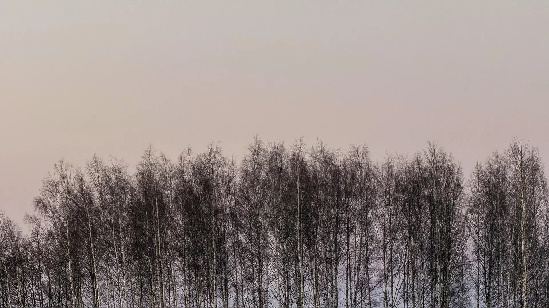НАТАША