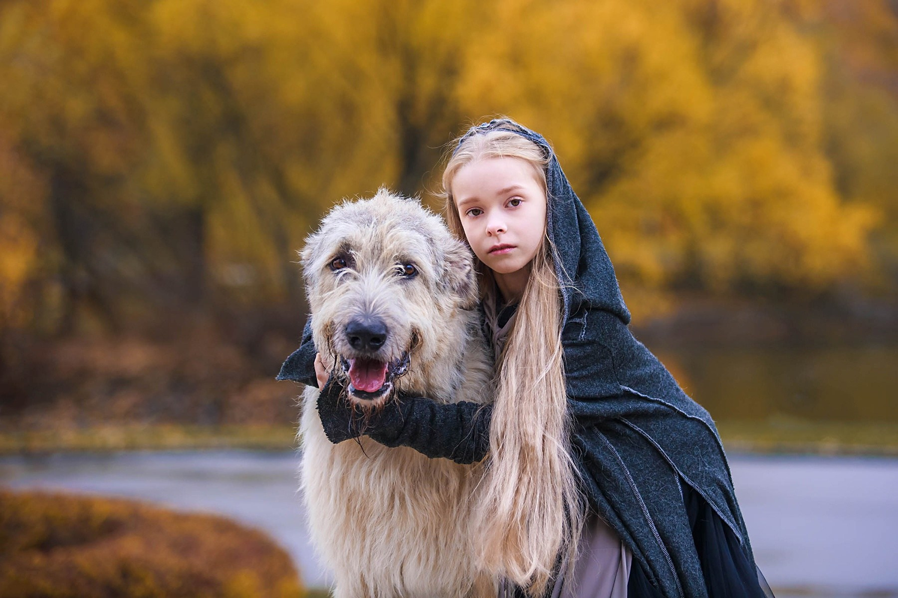 Фотосессии собак, анималистика, фотограф-анималист, анималист. Семейный и детский фотограф в Москве Мария Быкова