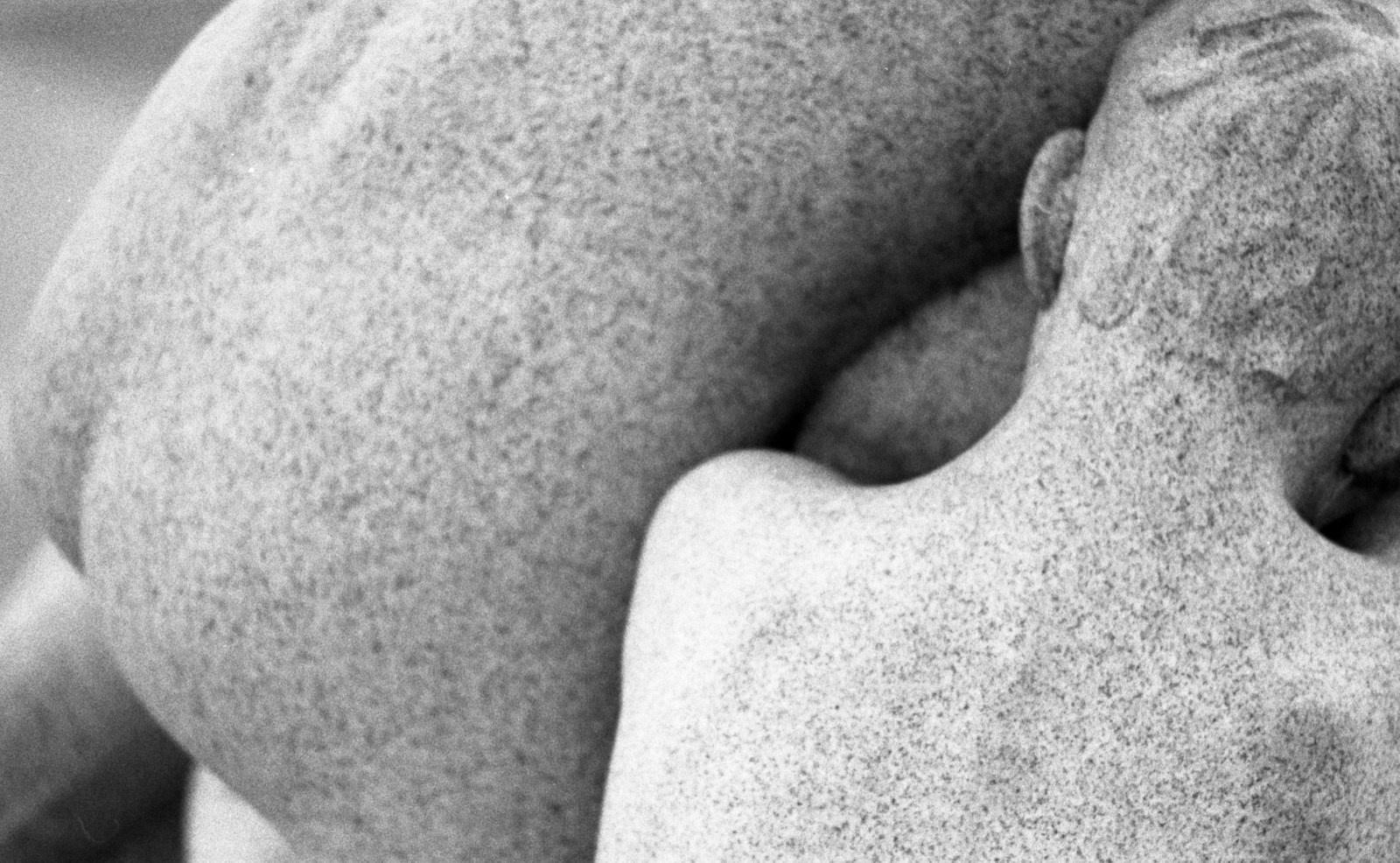 Art Series. Елена Цихон художник фотографии и мастер фото-ДНК