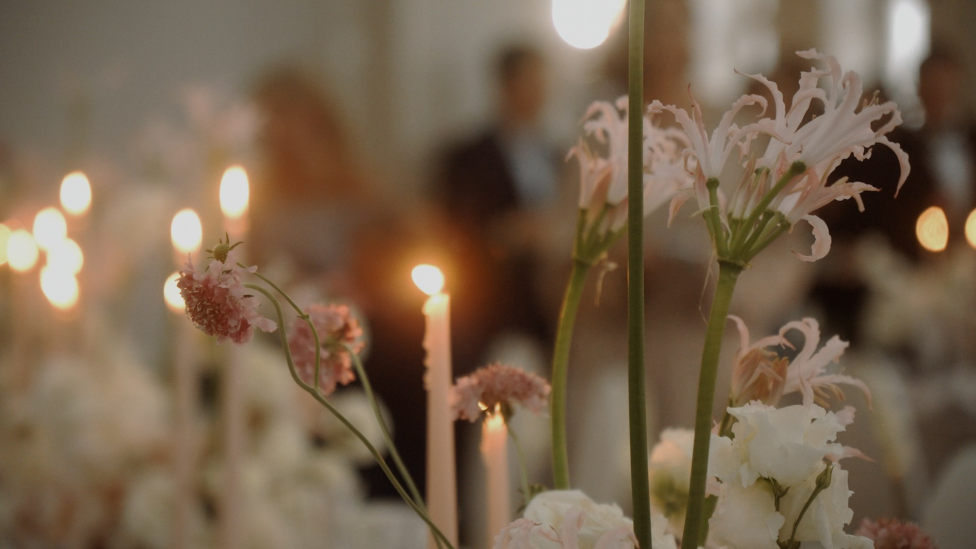 Портфолио. Видеограф Тюмень Дмитрий Перфильев