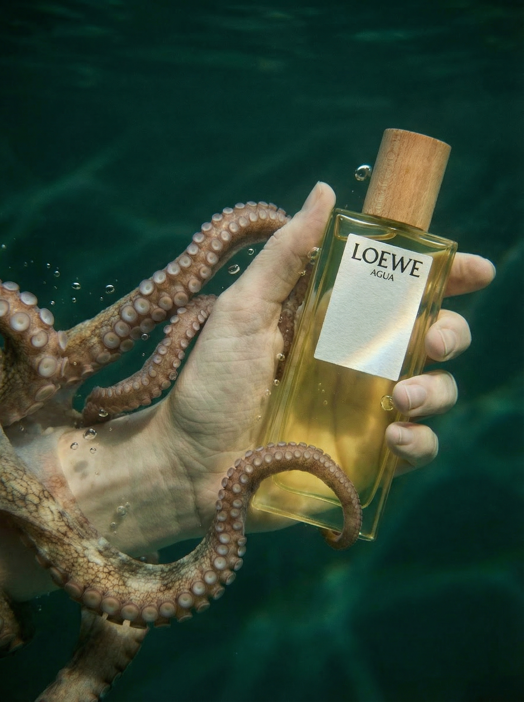 Регина Зебра — AI-дизайнер и креатор | Авторский контент для брендов и персон