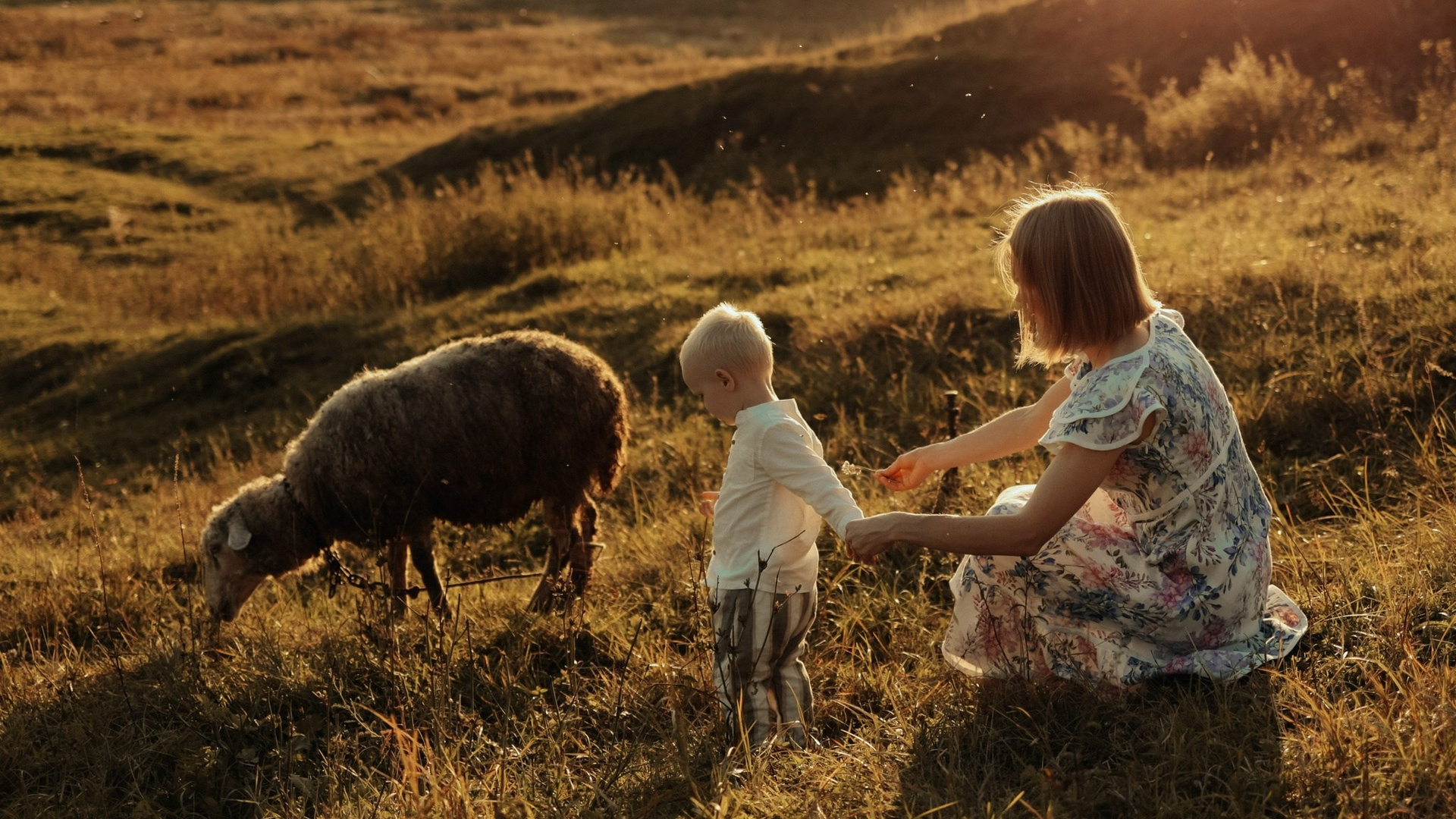 Видеопрактика для фотографов и мам — 01.07.2026. Фотограф и видеограф Елена Лисина
