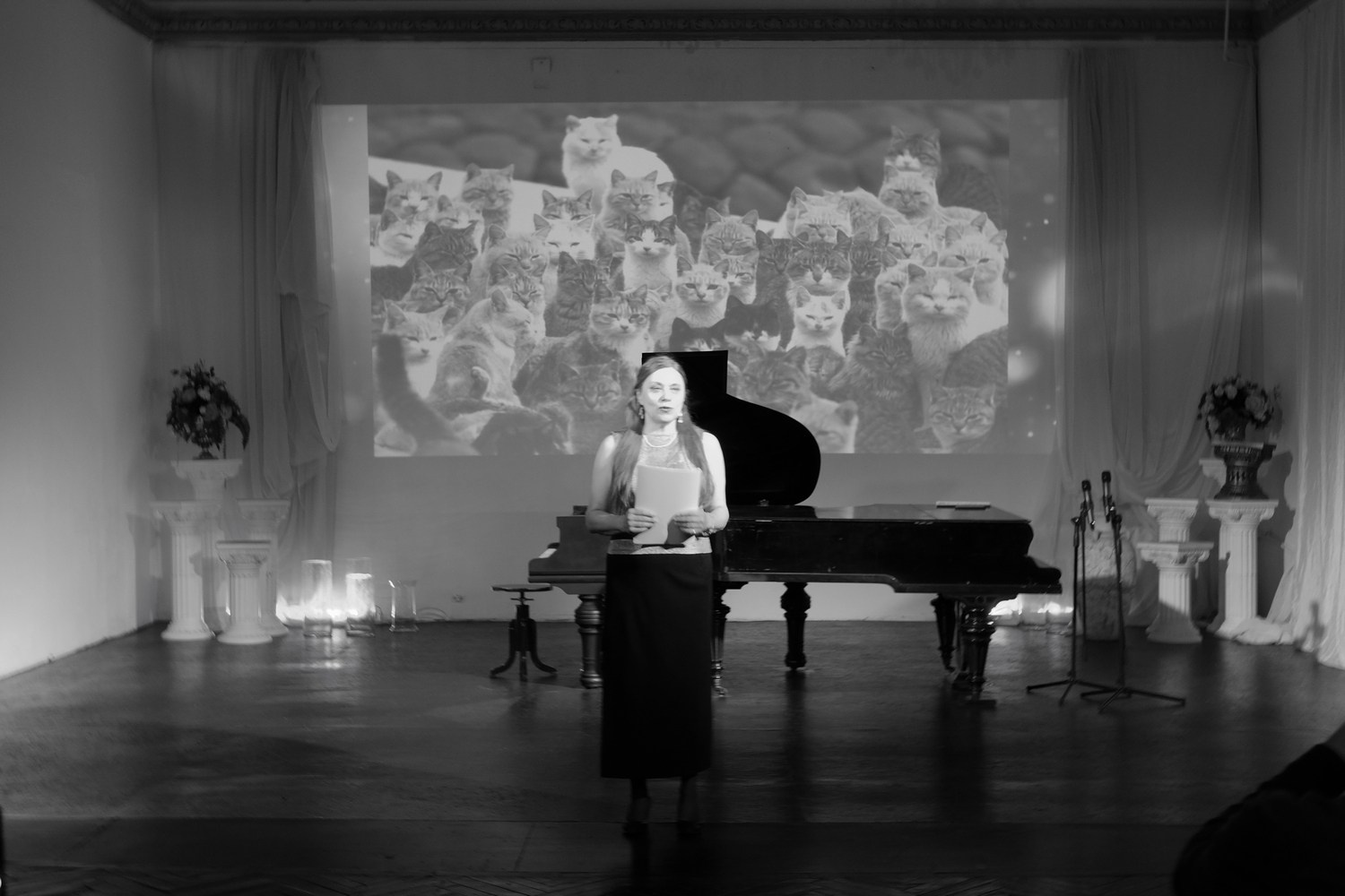 «ПитерКот» ежегодная выставка работ художников. Дом Шрёдера