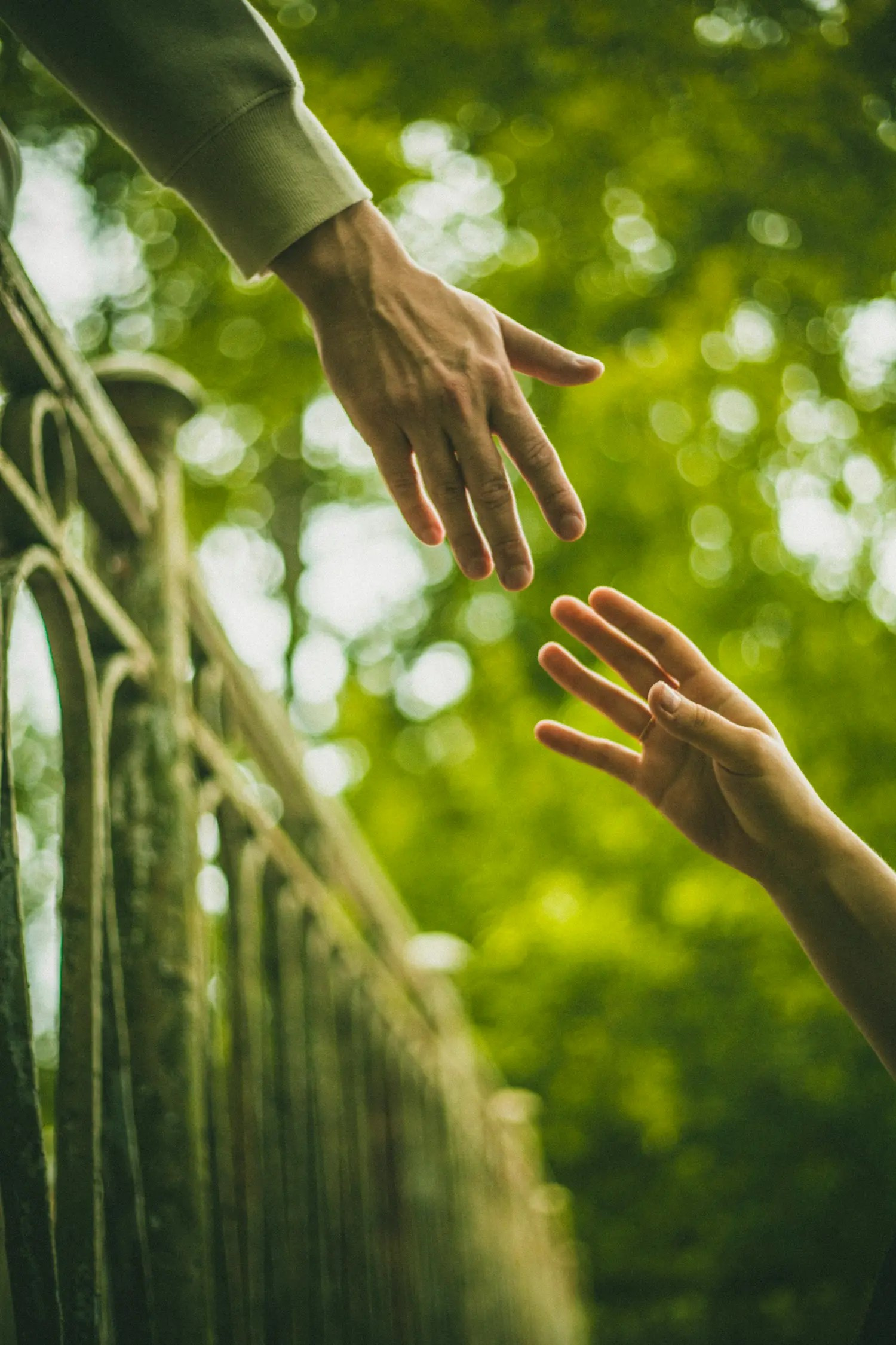 Фотограф Александра Степанова