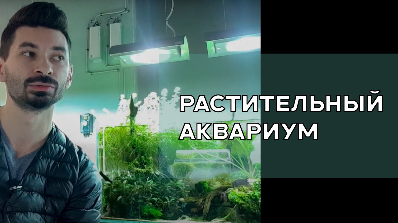 Видео. Аквариумист Максим Ерёмин