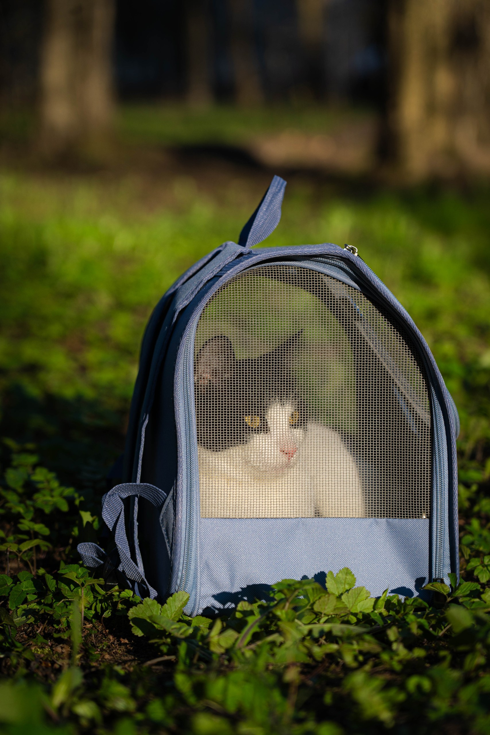 Для бизнеса. Репортажный фотограф в Санкт-Петербурге
