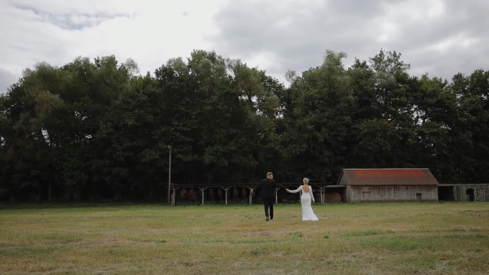 Видео. Свадебное фото и видео в Липецке. Павел Покидов, Елена Покидова