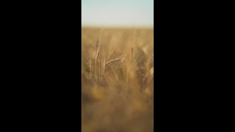 ВидеоИстории. Семейный и детский фотограф в Сергиев Посаде, Хотьково Якимчук Любовь