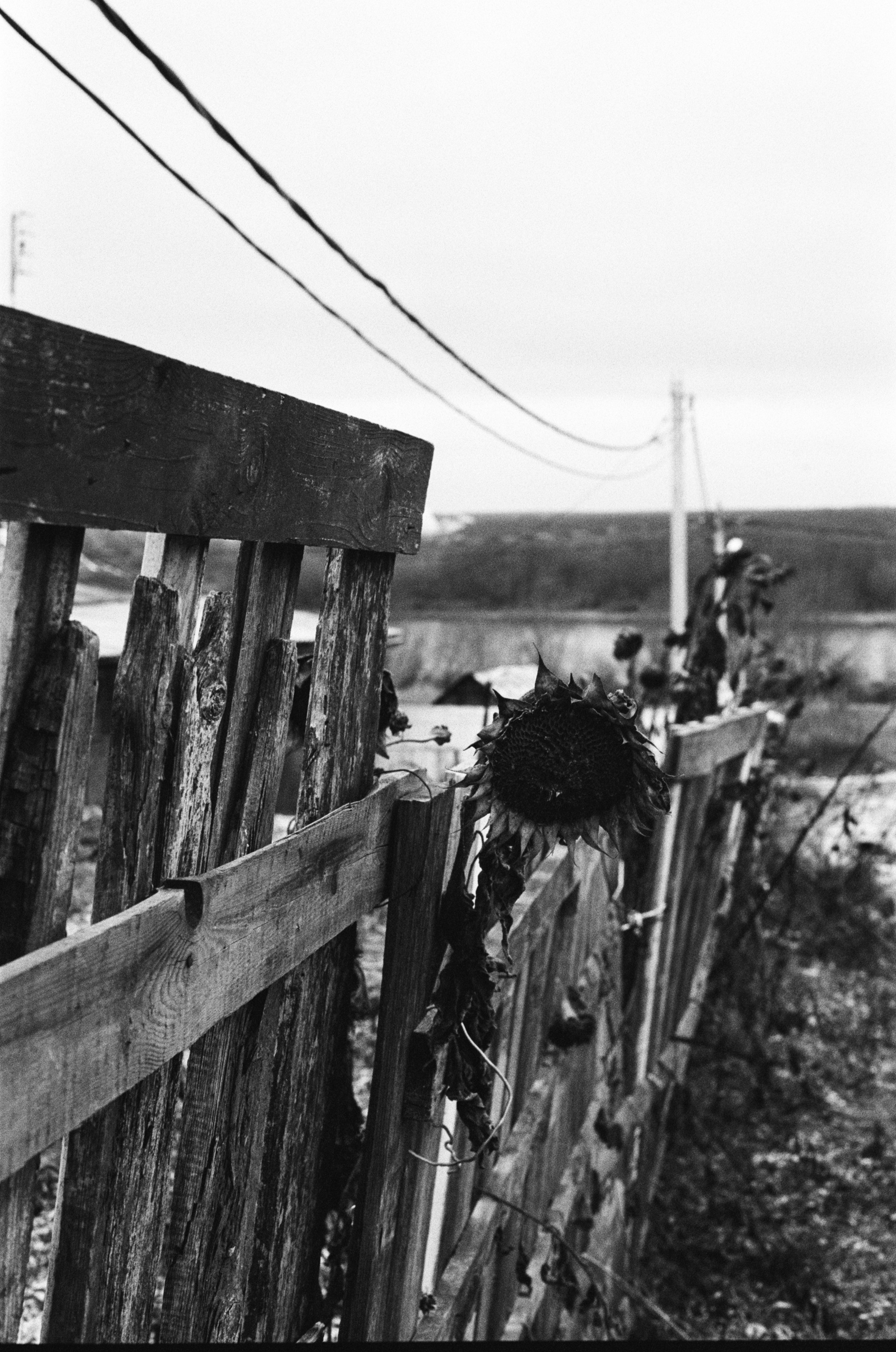 Random places. Moscow street photography workshops and photo tourism