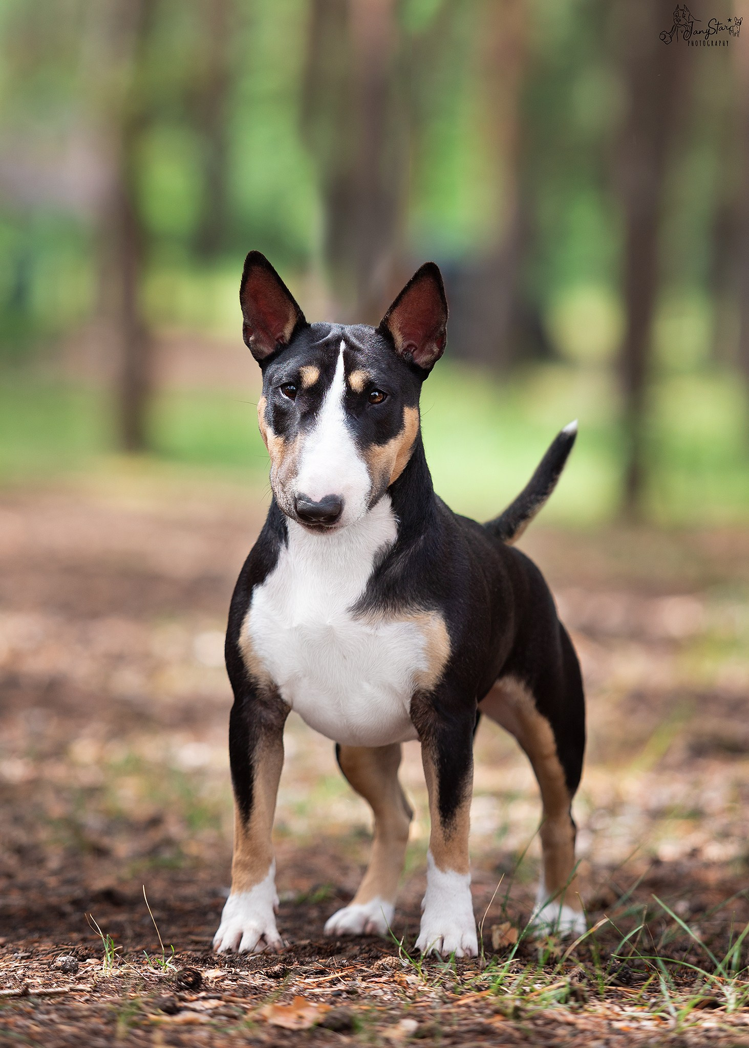 Фотограф-анималист в Москве Евгения Старостина