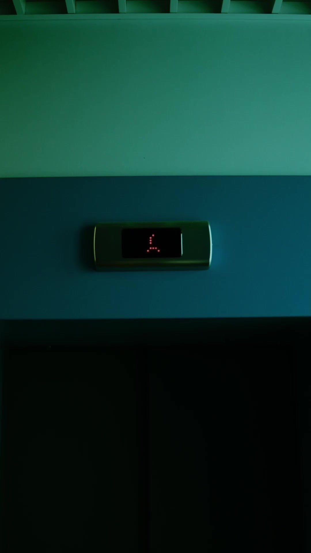 ВИЗИТКА. Кинематографичный фотограф, видеограф Лина Плешакова, Санкт-Петербург