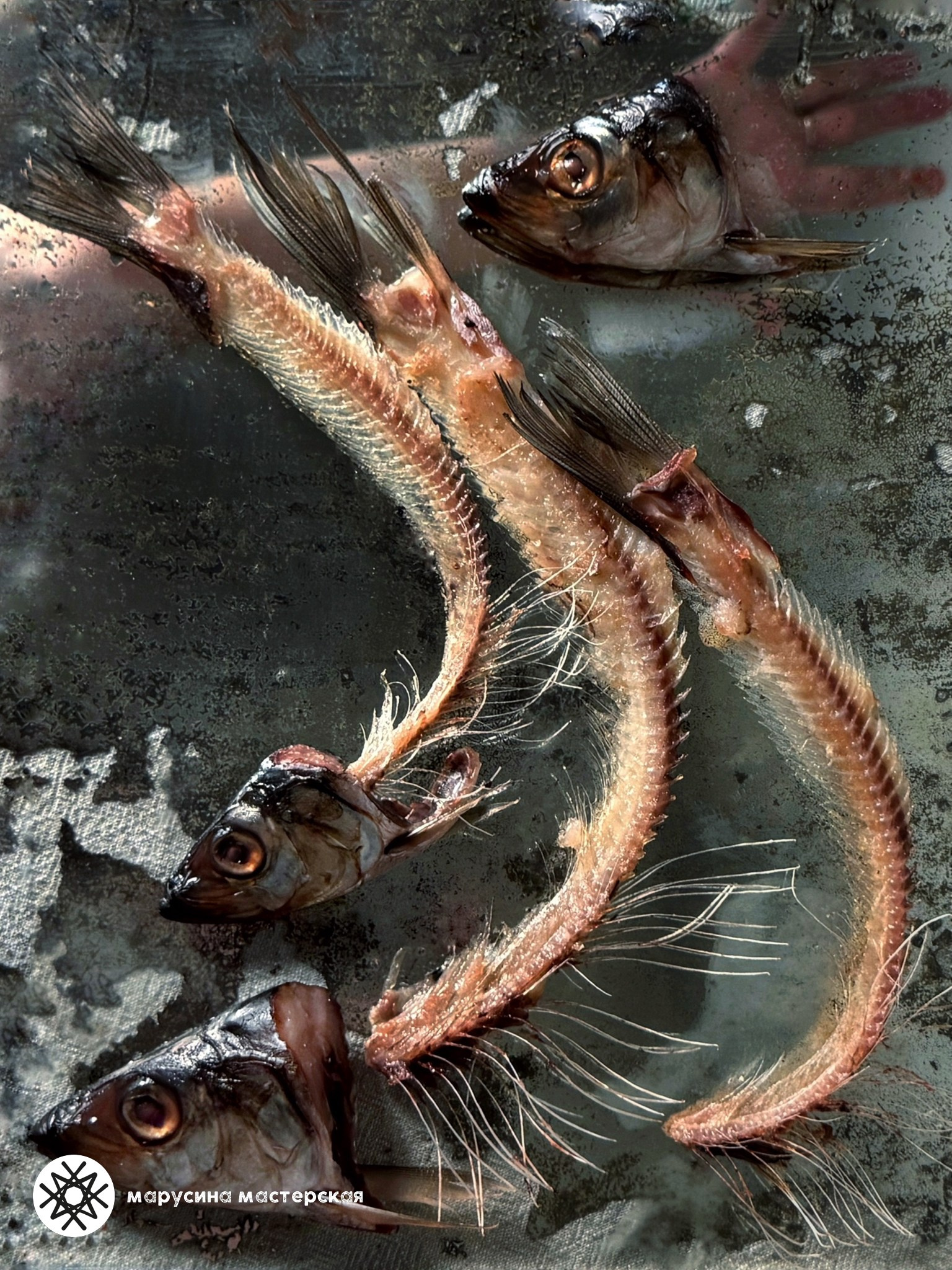 работа ученика практикума «Экспериментальная композиция» Вероники Новиковой