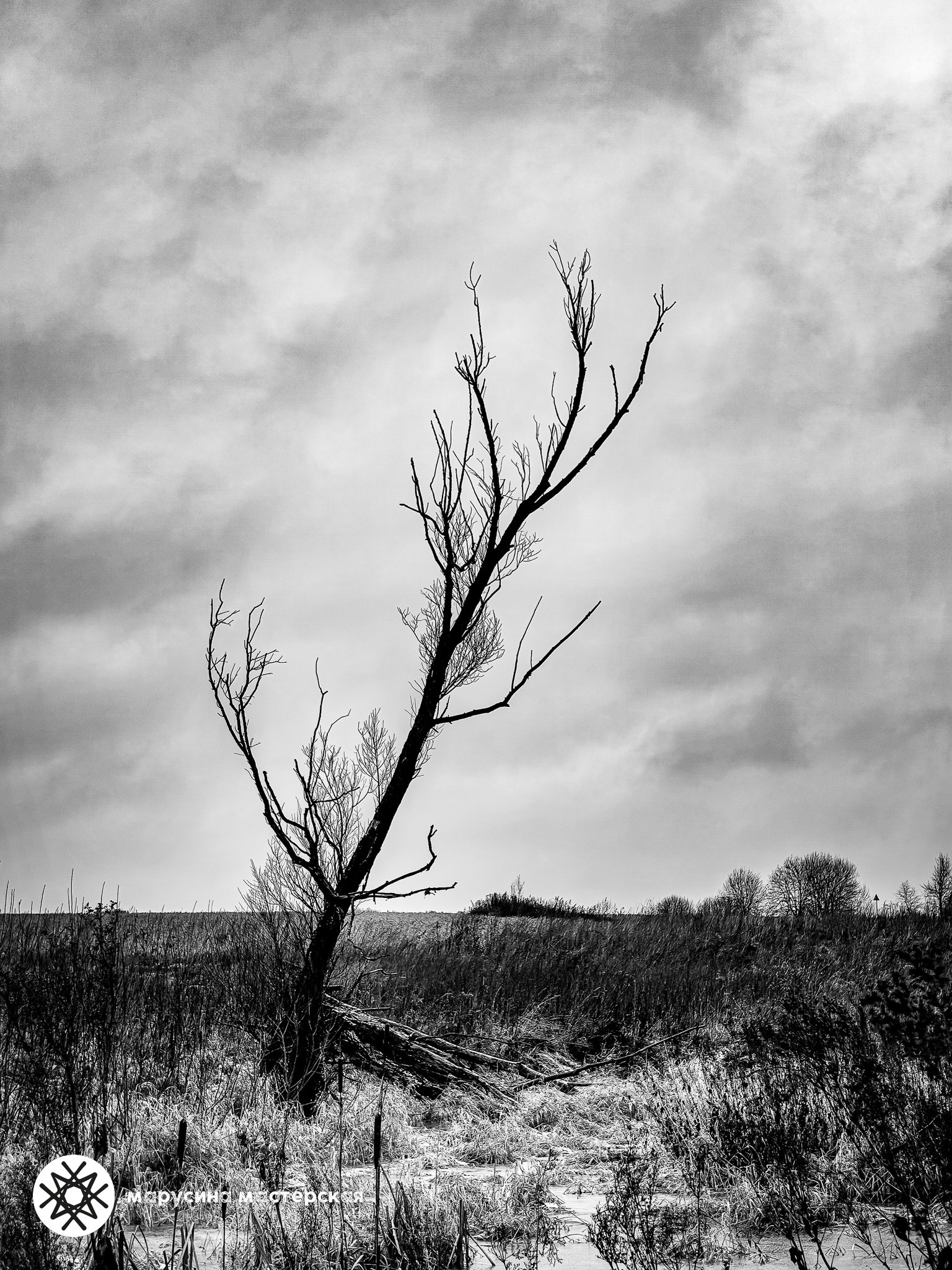 Наталия Васильева