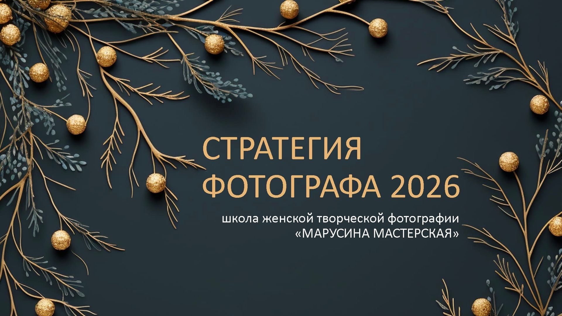 СТРАТЕГИЯ ФОТОГРАФА 2026
