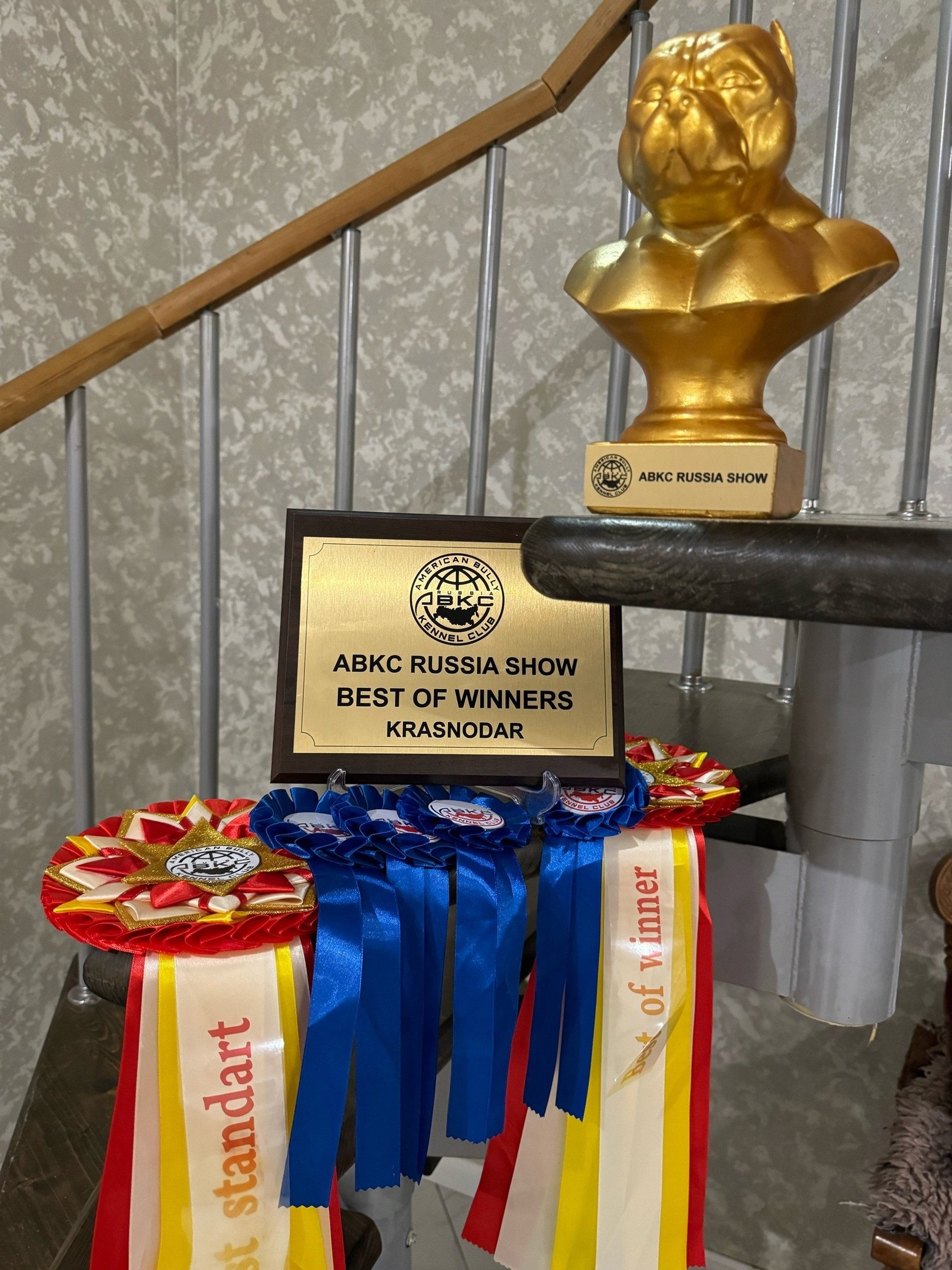 призовые розетки и статуэтки с выставки ABKC