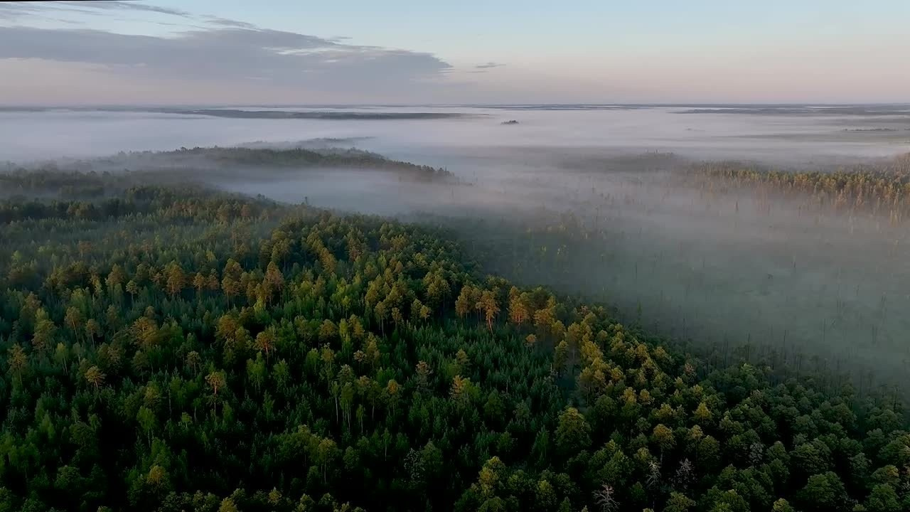 Видео. Фотограф Татьяна Борисова