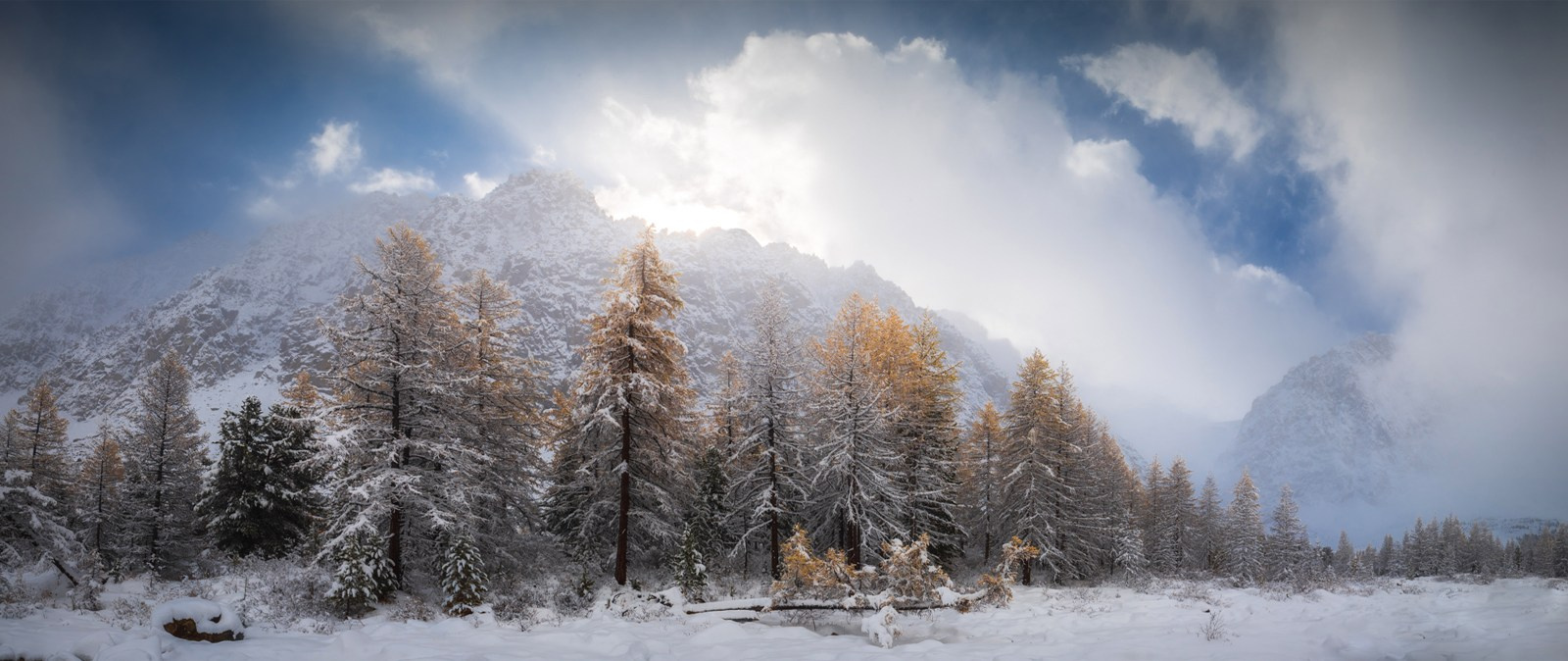 Профессиональный пейзажный фотограф Алёна Рубан