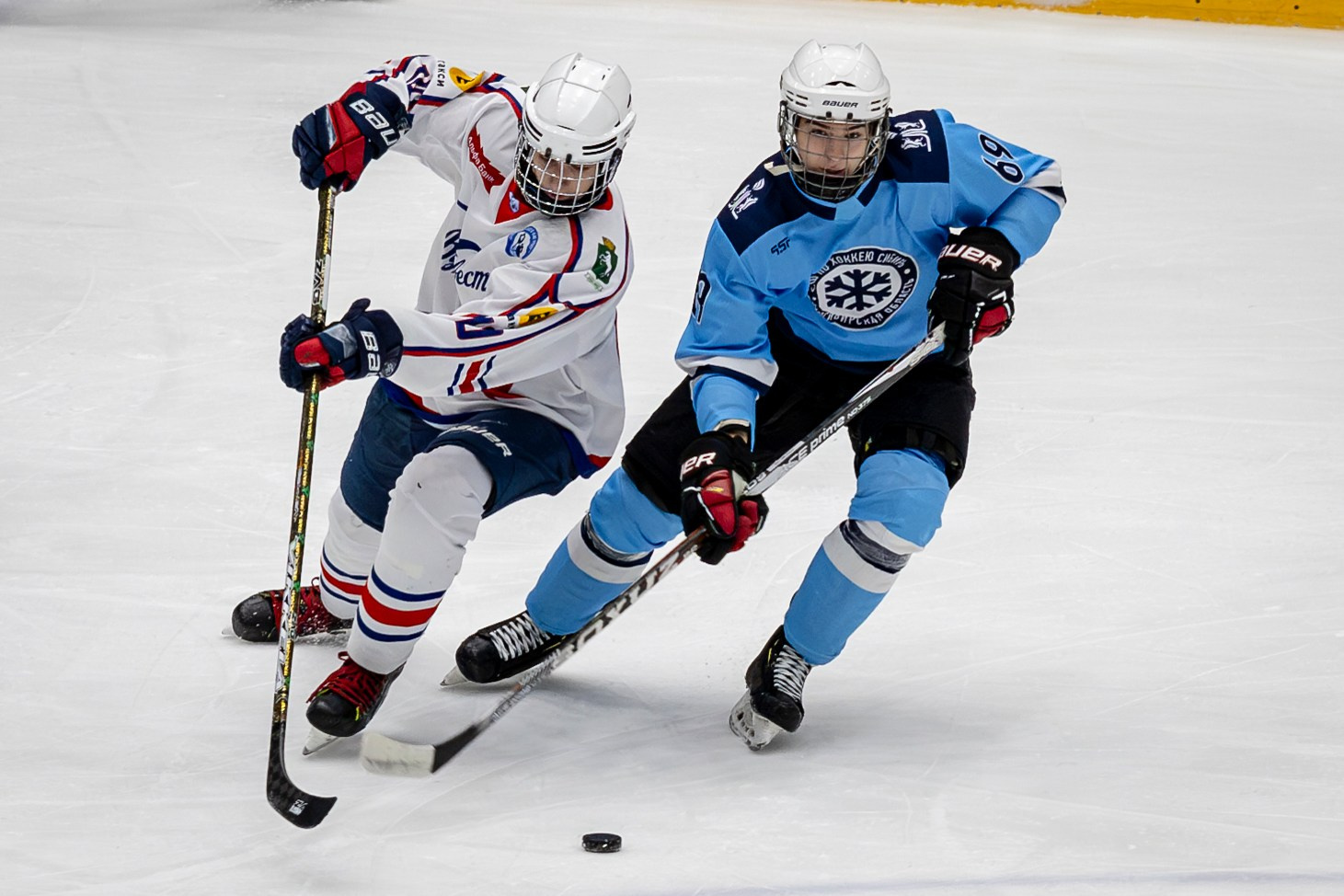 Контакты. Bertran Ordo