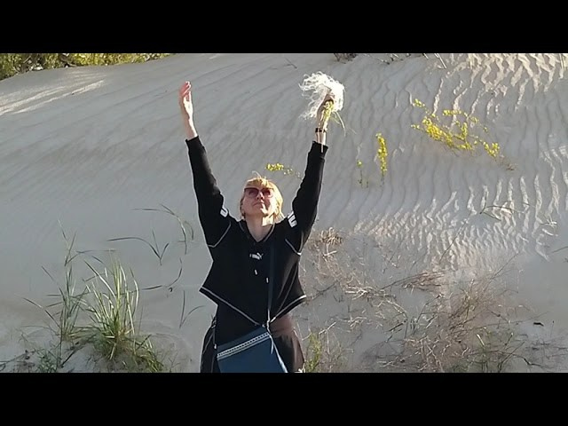 Синрин-йоку. Марина Рыбкина — Глубинная психология