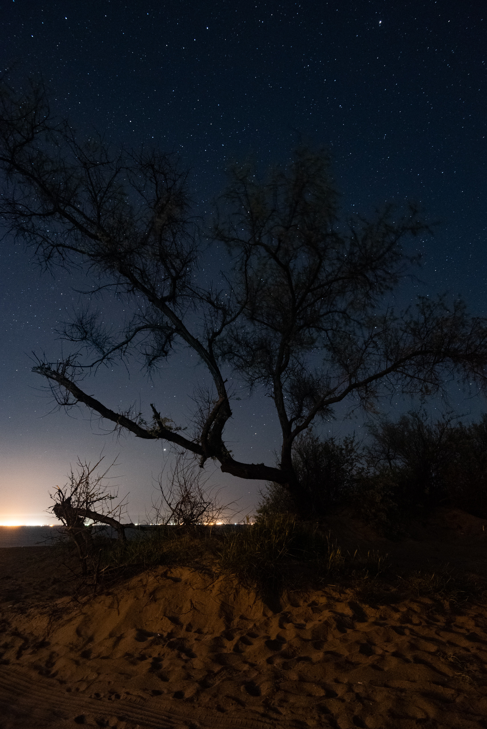 Крым. Портретный фотограф Белград Матвей Кармаков