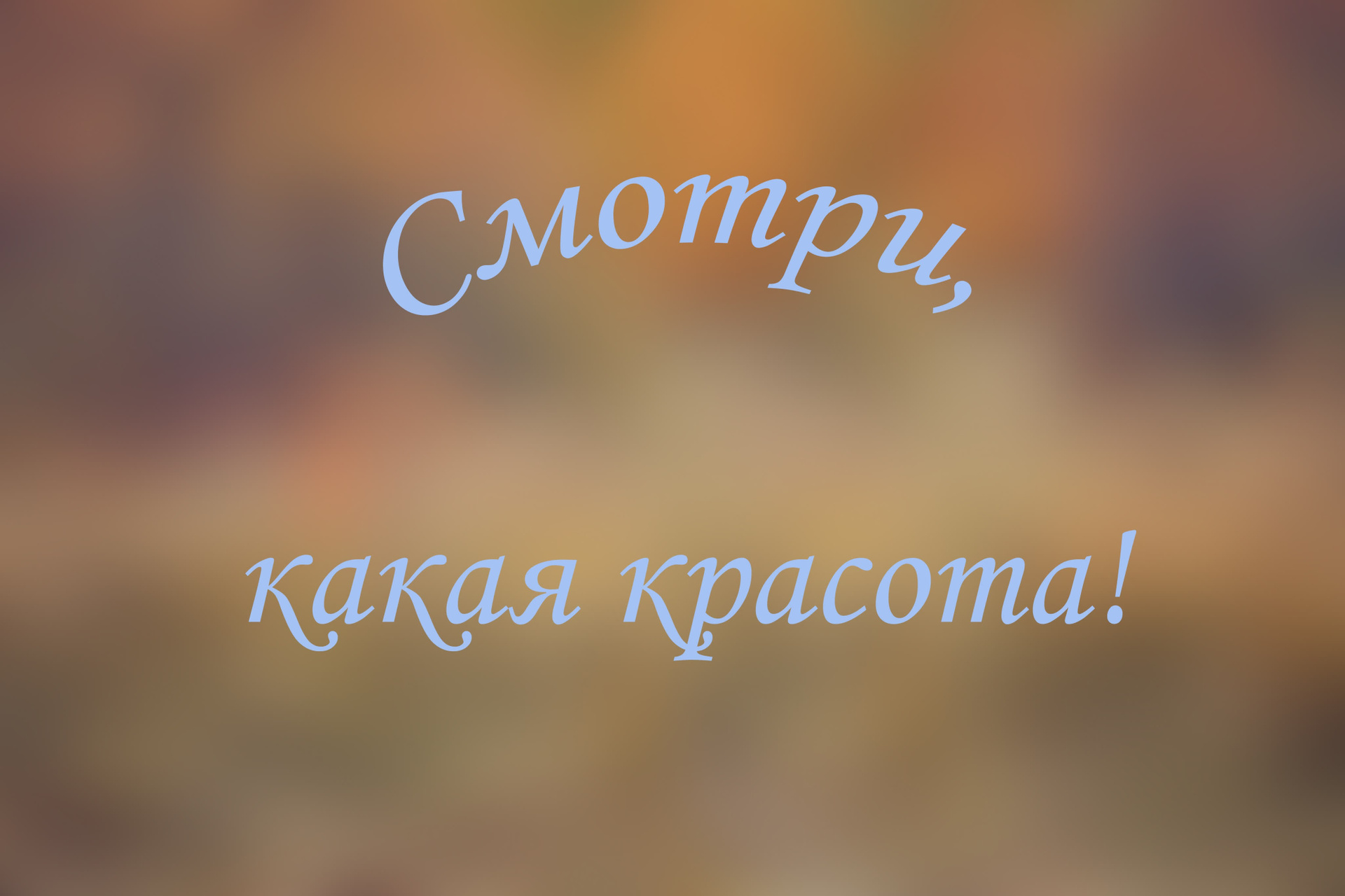 Цена детской и семейной фотосъемки в Нижнем Новгороде. Детский и семейный фотограф в Нижнем Новгороде Мячикова Наталья