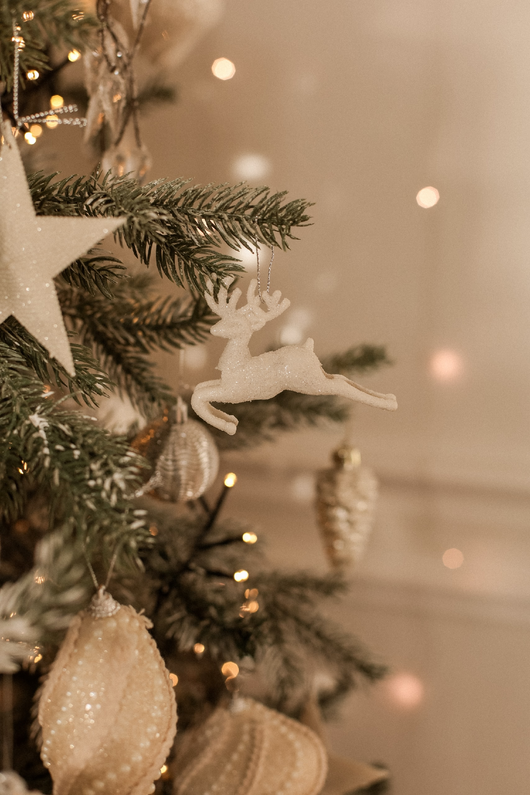 Фотостудии «Новый год 2026 год». Женский, семейный и детский фотограф в Тюмени Диана Осипова