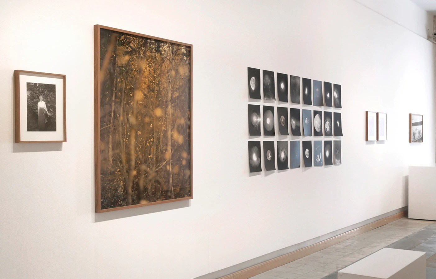 INTERVIEW WITH THE ARTIST: Maja Daniels. Самоорганизация Низина