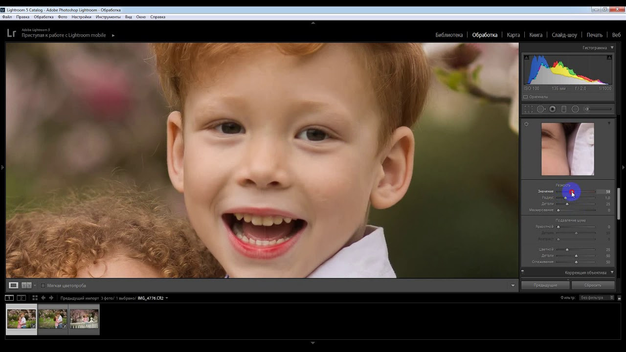 Бесплатный урок. Фотограф Дарья Берестова (Краснодар)