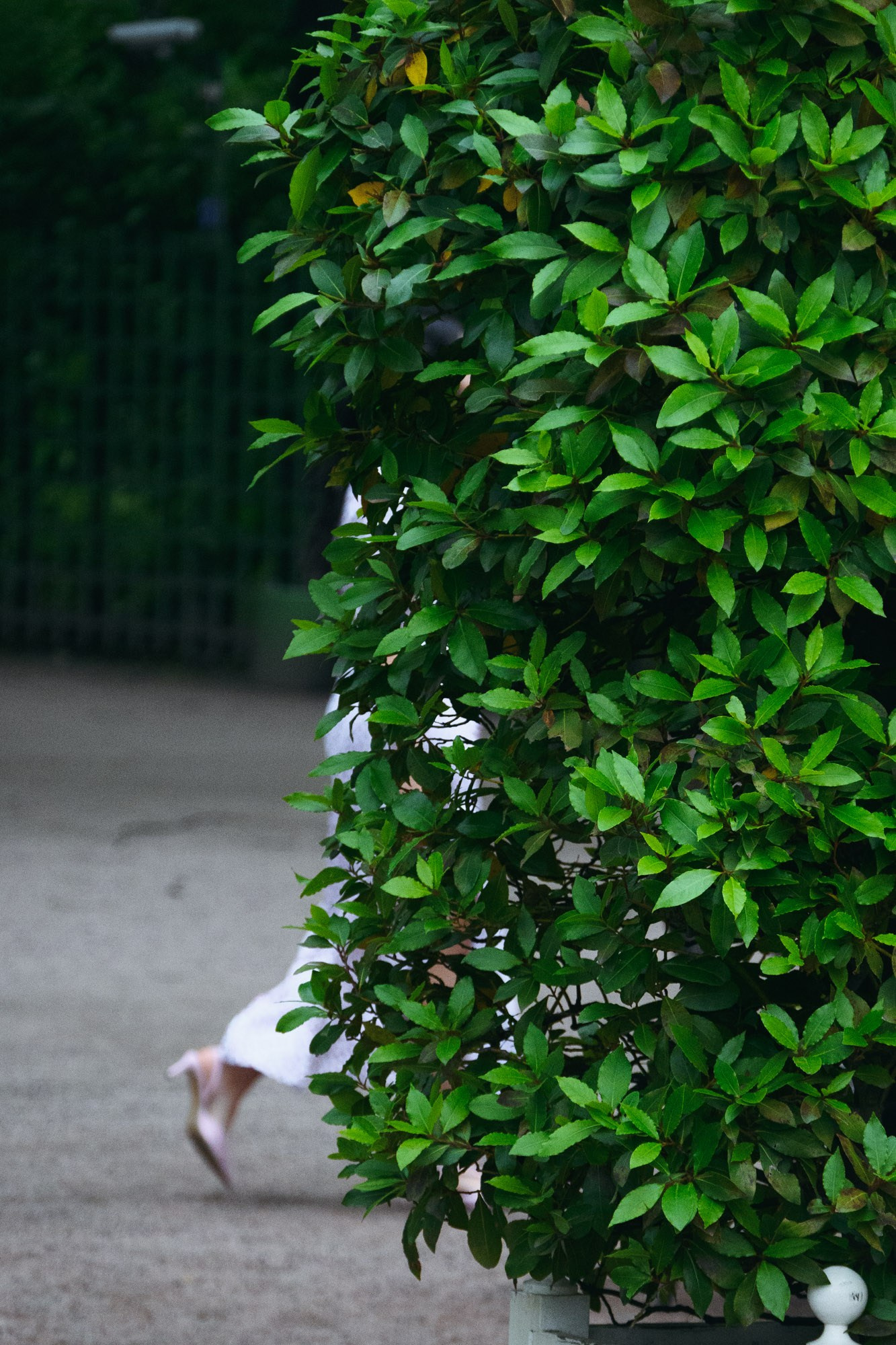 Женский портрет. Светлана Бычкова. Контент и бизнес-фотограф в Москве и Петербурге