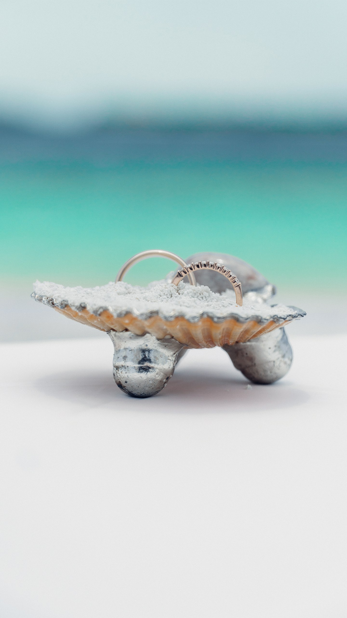 Туристическое агентство на Мальдивах Velaa Trips