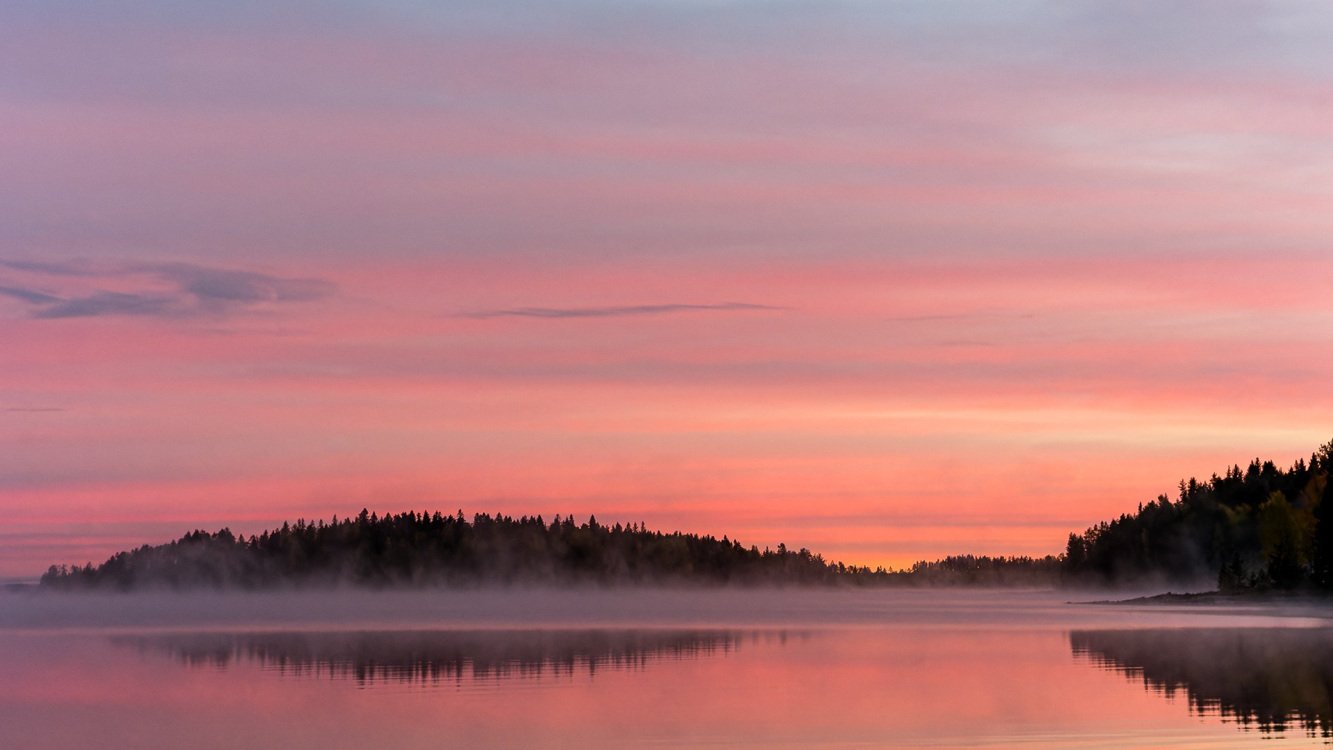 Фотограф Даниил Богомолов