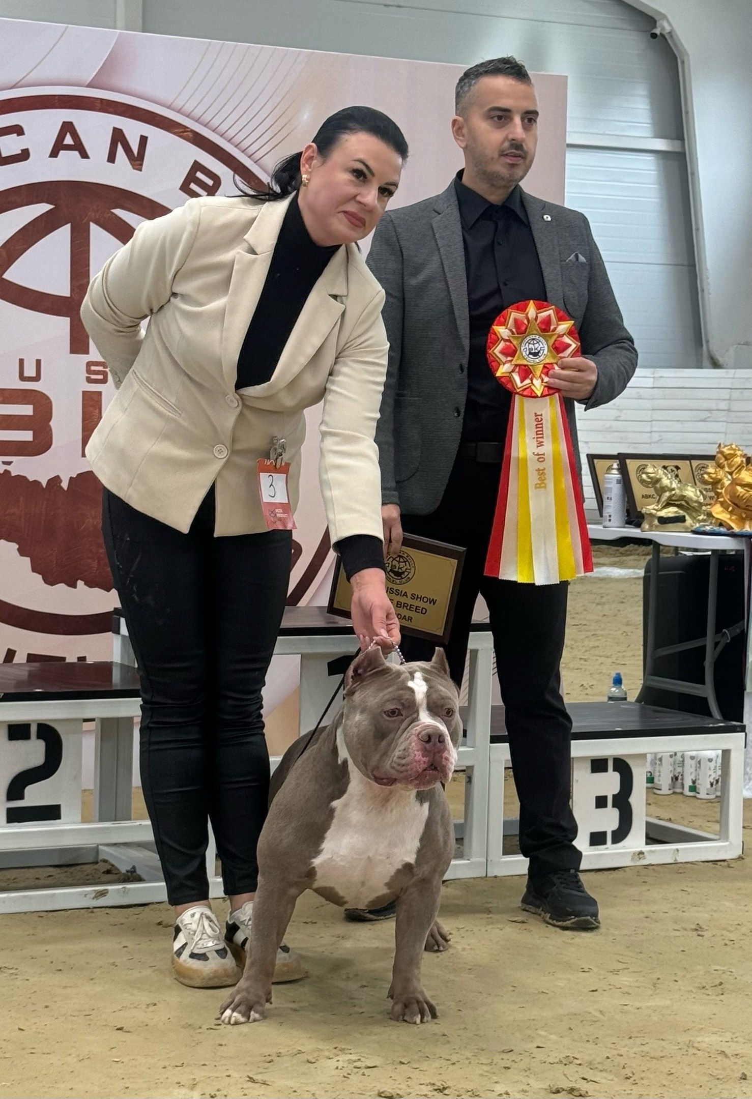 Американский булли на выставке ABKC 