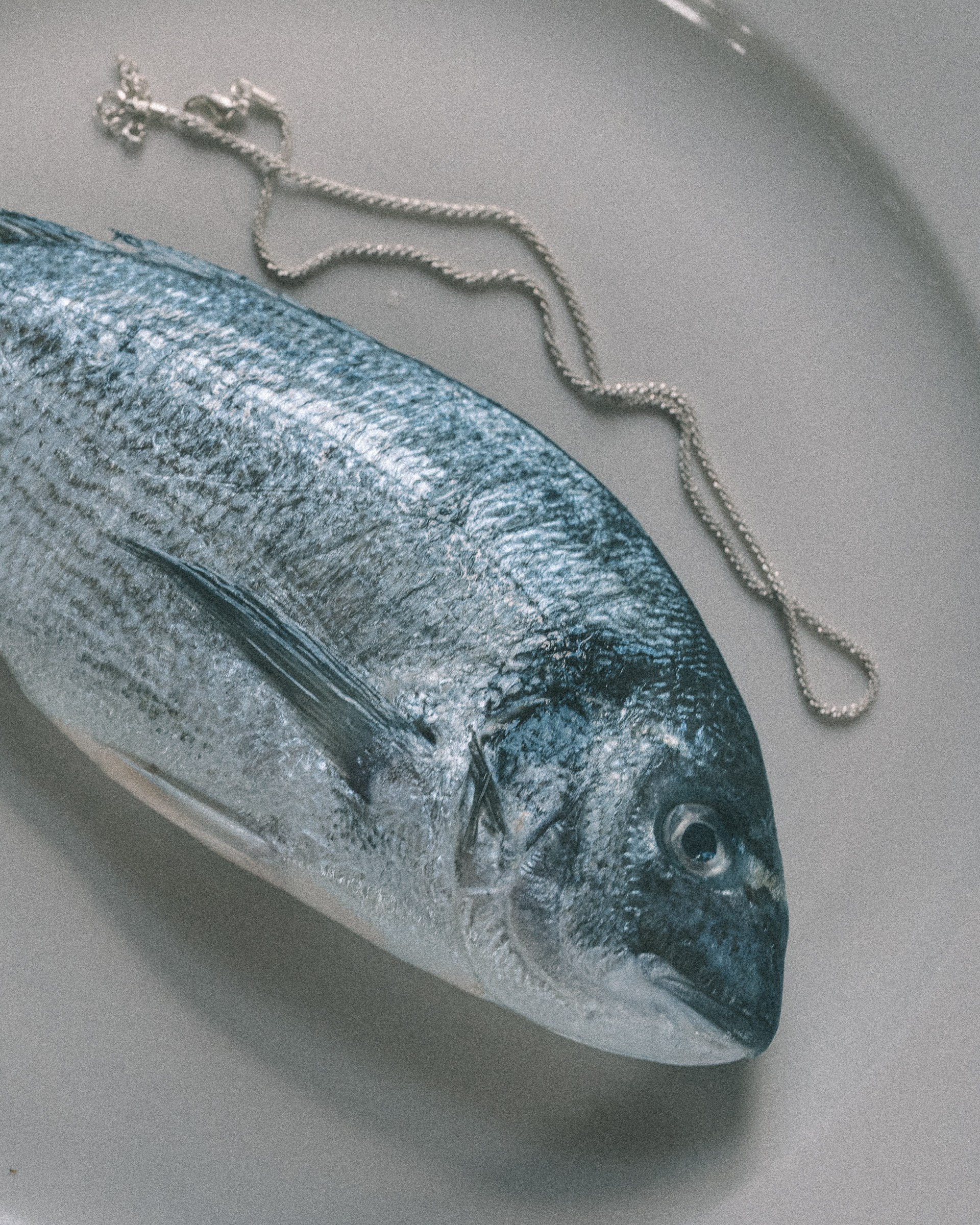 Коммерческий фотограф в Брянске Ольга Вороная