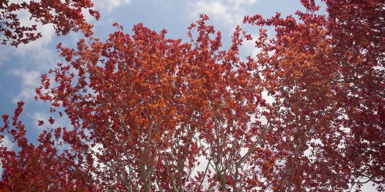 Окружение через объектив